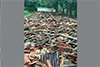 Nearly 1500 chickens die as poultry farm shed collapses